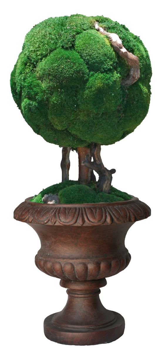 Single Moss Ball Bonsai in Resin Urn - Click Image to Close